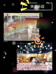 -萌宠亲子动物乐园(槐房万达店)