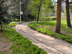 -黑龙江省森林植物园