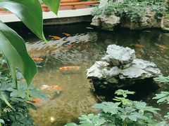 -广州白天鹅宾馆