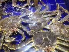 -79号渔船海鲜饭店(华强北店)