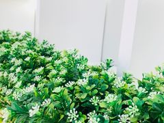 -好利来(南塔店)