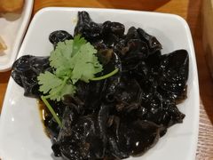 黑木耳-云中鱼蒸汽石锅鱼(川沙百联店)