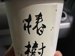 -椿树咖啡