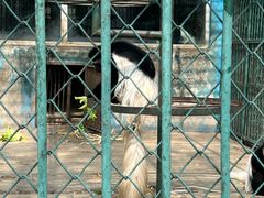 -秦皇岛野生动物园