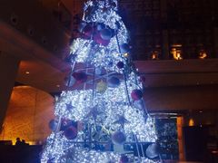 iphone_upload_pic-宏安瑞士大酒店馥澜吧