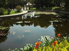 -深圳国际园林花卉博览园