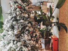 -The Rug Cafe(王府中环店)