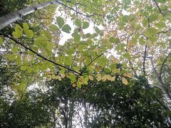 -汇龙潭