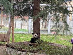 -西安秦岭野生动物园