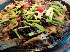 -老板恋上鱼(恒隆广场店)