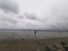 -南汇嘴观海公园