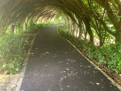 -广西壮族自治区药用植物园