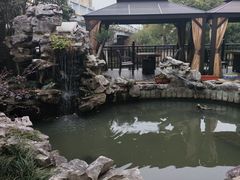 -漫渡庄绿岛花园•隐世庭园菜(滨湖店)