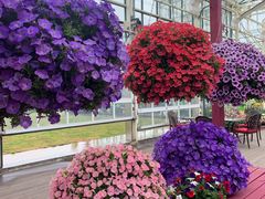 -保尔卓美园艺有限公司