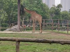 -南昌动物园