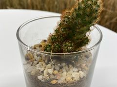 -北京盈之宝宝马&MINI4S店(望京店)