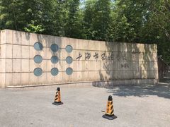 -上海市实验学校