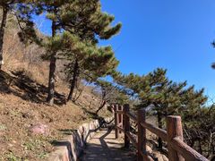 -北京十三陵国家森林公园蟒山景区