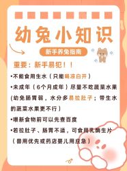 -神奇动物撸宠馆·羊驼·小浣熊·异宠(豫园店)