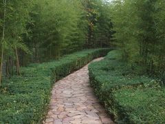 外景-天目湖涵田度假村