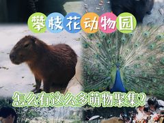 -攀枝花公园