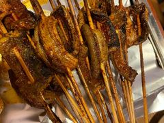 鳝鱼-晓靖轩烧烤(沙河风情店)