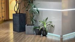-一東造型烫发染发