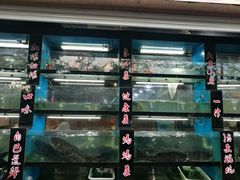 -好灶头妈妈菜·柴火灶台鱼·千岛湖土菜地标美食