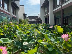 -丝绸小镇荻港古村