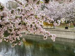 -海棠花溪(元大都城垣遗址公园)