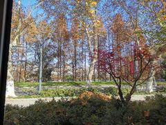 景观位-EN SPACE恩空间