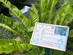 -石排湾郊野公园