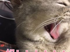 -百威KTV(恒福路店)