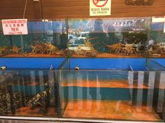 -真浪花园海鲜餐馆