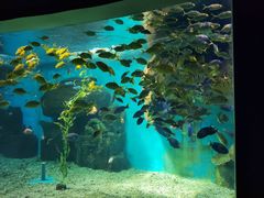 -泉城欧乐堡海洋极地世界