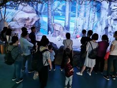 -芜湖新华联大白鲸海洋公园