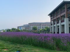-秦皇岛阿尔卡迪亚滨海度假酒店
