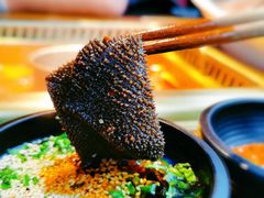 脆毛肚-九鼎轩脆毛肚火锅(三钢里店)