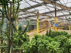 -南宫五洲植物乐园