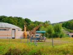 -哈尔滨北方森林动物园