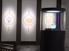 -四川宋瓷博物馆
