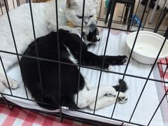 -北京华联购物中心(天通苑店)