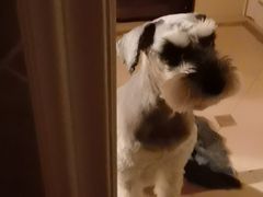 -邢大夫动物医院