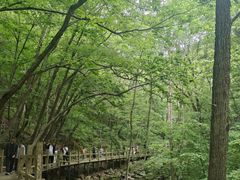 -本溪汤沟绿石谷森林公园