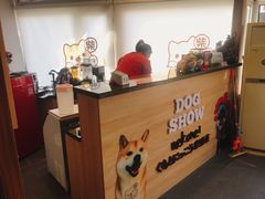 -柴源莊·柴小宠柴犬咖啡