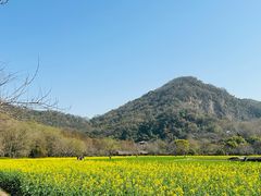 -八卦田遗址公园