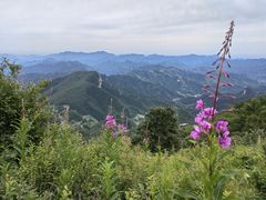 -白草畔自然风景区