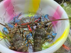 -羊栏农贸市场(羊新路店)