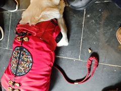 -打酱油·非遗淮扬菜(瘦西湖梅岭店)