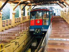 -神户市立六甲山牧场